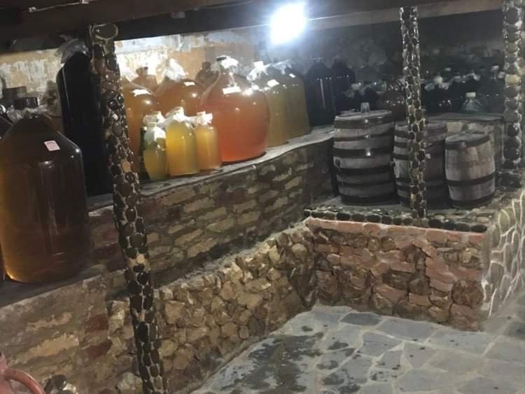 Hostel Saba Kutaisi Bagian luar foto